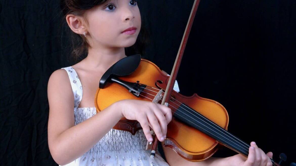 Violin